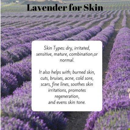 lavender-for-skin-1